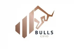 Bulls_Girisim__BULGS__tavanda_bekleyen_lot_says__B_1740126165