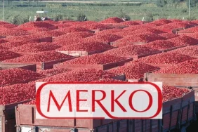 Merko_Gda__MERKO__temettu_kararn_acklad_1739212633